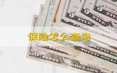 保险怎么查询 保险怎样查询